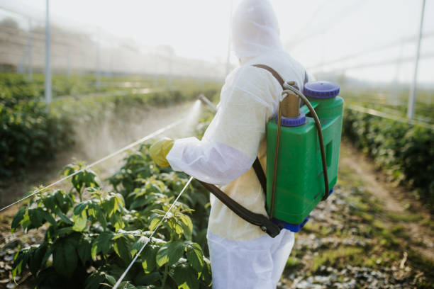Best Wildlife Control Services  in Douglas, AZ